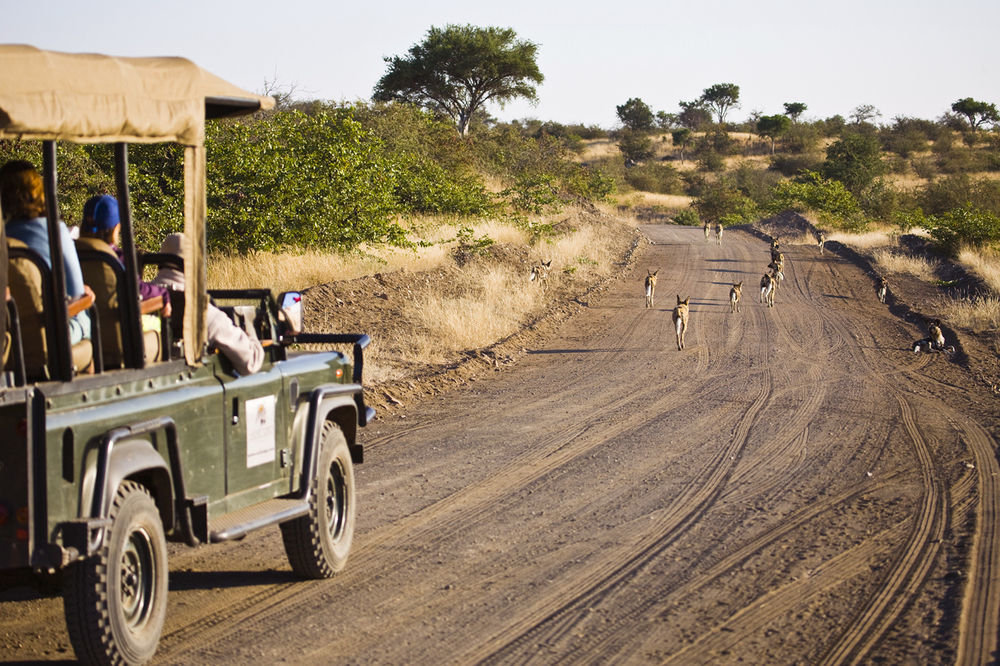 Tuli Safari Lodge Lentswelemoriti エクステリア 写真